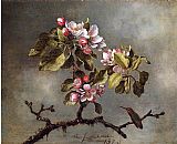 Apple Blossoms and Hummingbird by Martin Johnson Heade